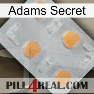 Adams Secret 24